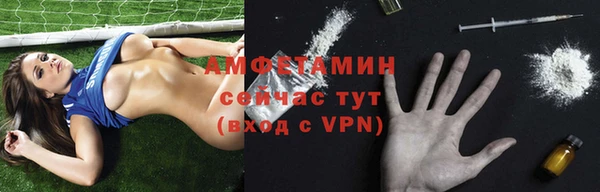 хмурый Алзамай