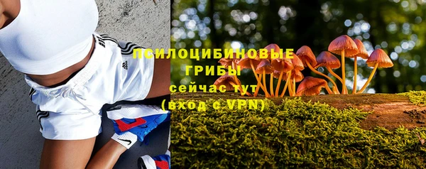 хмурый Алзамай