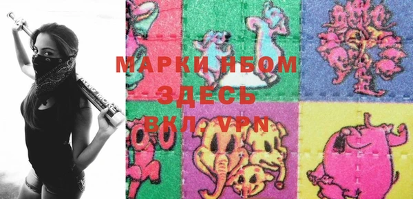 хмурый Алзамай