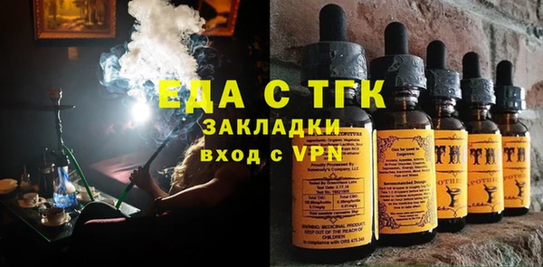 хмурый Алзамай
