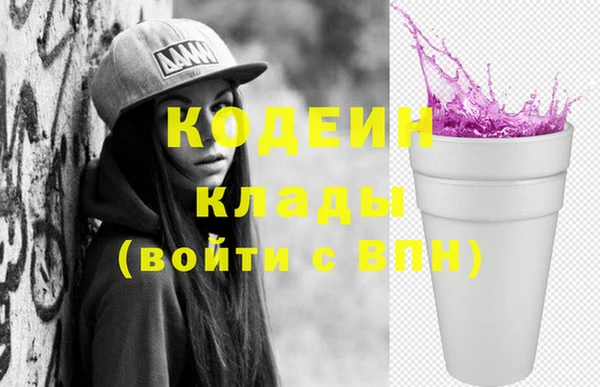 хмурый Алзамай