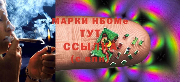 хмурый Алзамай