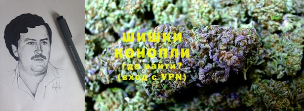 индика Осташков