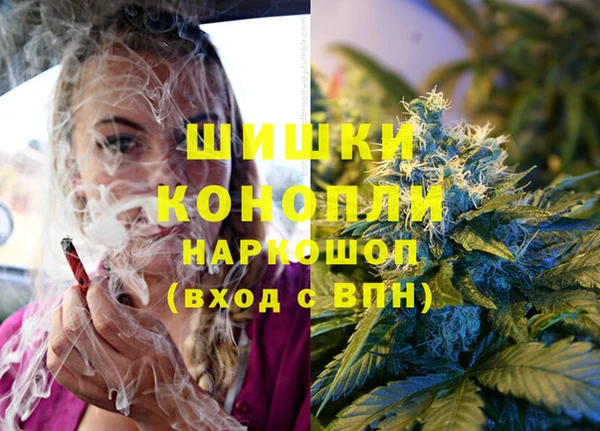 ПСИЛОЦИБИНОВЫЕ ГРИБЫ Алексеевка