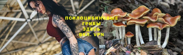 каннабис Алексин