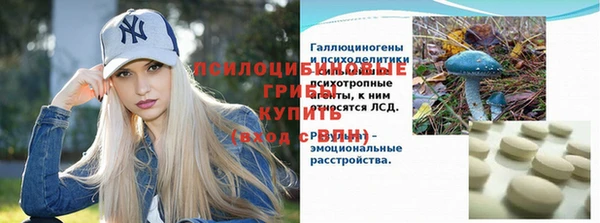 ПСИЛОЦИБИНОВЫЕ ГРИБЫ Алексеевка