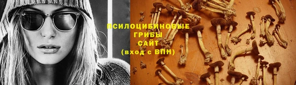 индика Осташков