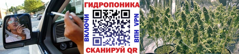 Марихуана ГИДРОПОН Орлов